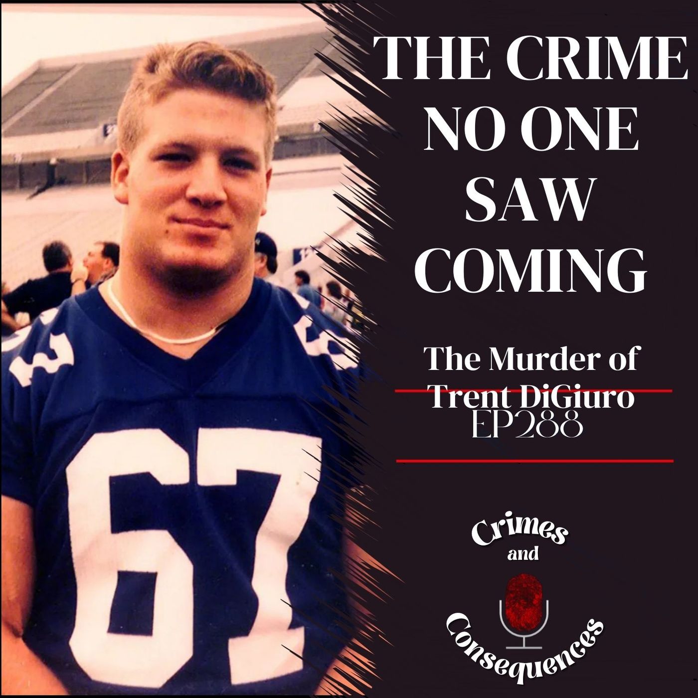 EP288: The Crime No One Saw Coming