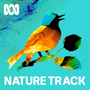 Podcast logo