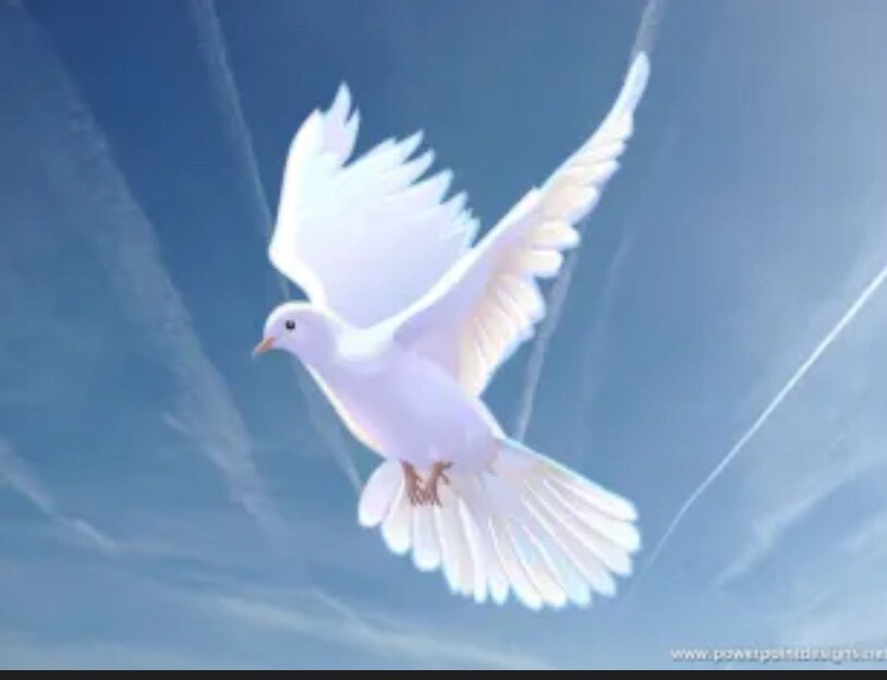 🕊️Ms Rita🕊️🔥💐