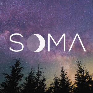 Sleep & Relaxation Music to Calm the Nervous System