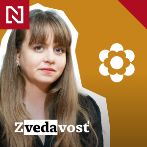 Zvedavosť